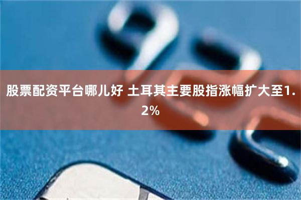 股票配资平台哪儿好 土耳其主要股指涨幅扩大至1.2%