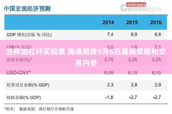 怎样加杠杆买股票 海通期货9月6日晨间策略和交易内参
