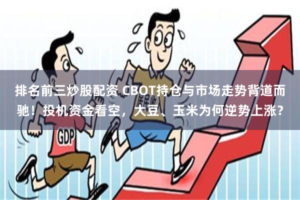 排名前三炒股配资 CBOT持仓与市场走势背道而驰！投机资金看空，大豆、玉米为何逆势上涨？