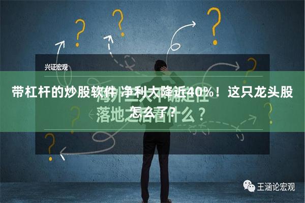 带杠杆的炒股软件 净利大降近40%！这只龙头股怎么了？