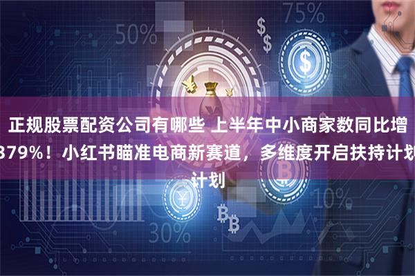 正规股票配资公司有哪些 上半年中小商家数同比增379%！小红书瞄准电商新赛道，多维度开启扶持计划