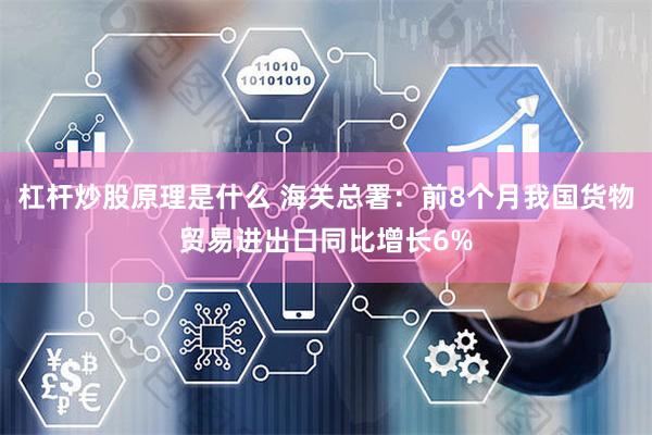 杠杆炒股原理是什么 海关总署：前8个月我国货物贸易进出口同比增长6%