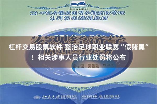 杠杆交易股票软件 整治足球职业联赛“假赌黑”！相关涉事人员行业处罚将公布