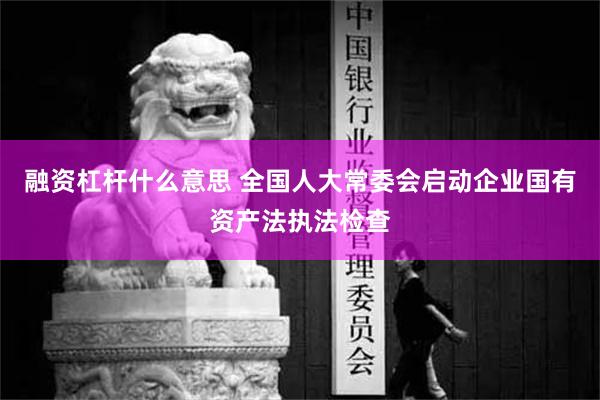 融资杠杆什么意思 全国人大常委会启动企业国有资产法执法检查