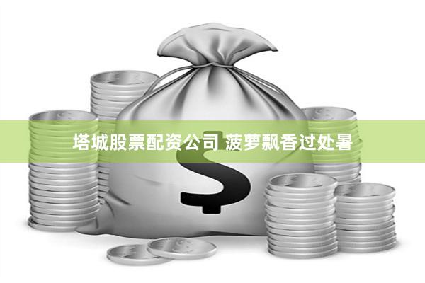塔城股票配资公司 菠萝飘香过处暑