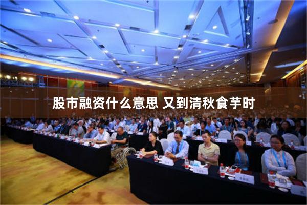 股市融资什么意思 又到清秋食芋时