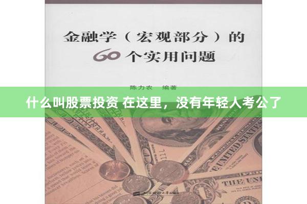 什么叫股票投资 在这里，没有年轻人考公了