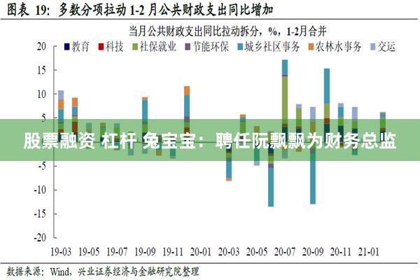 股票融资 杠杆 兔宝宝：聘任阮飘飘为财务总监