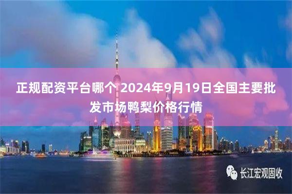 正规配资平台哪个 2024年9月19日全国主要批发市场鸭梨价格行情