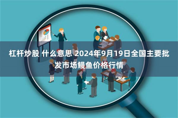 杠杆炒股 什么意思 2024年9月19日全国主要批发市场鳗鱼价格行情