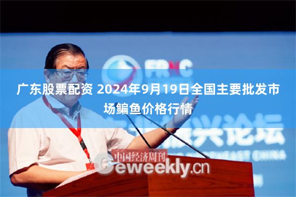 广东股票配资 2024年9月19日全国主要批发市场鳊鱼价格行情