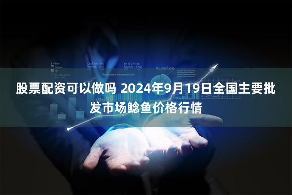 股票配资可以做吗 2024年9月19日全国主要批发市场鲶鱼价格行情