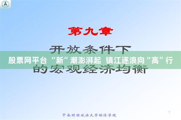 股票网平台 “新”潮澎湃起  镇江逐浪向“高”行