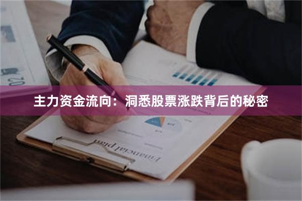 主力资金流向：洞悉股票涨跌背后的秘密