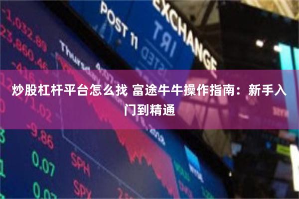 炒股杠杆平台怎么找 富途牛牛操作指南：新手入门到精通