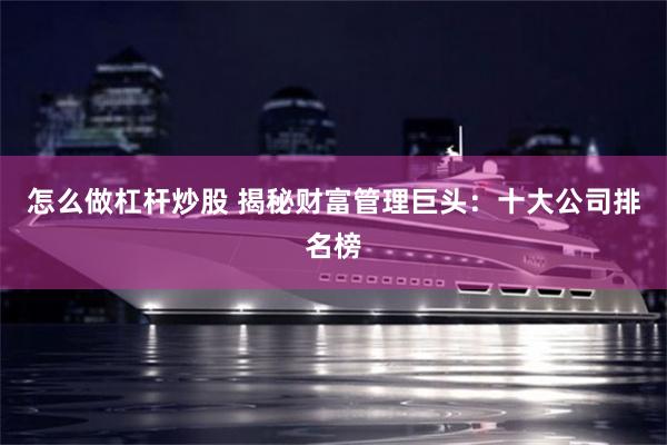 怎么做杠杆炒股 揭秘财富管理巨头：十大公司排名榜