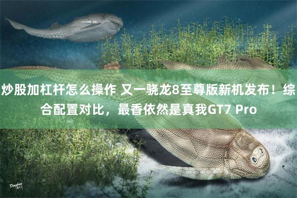炒股加杠杆怎么操作 又一骁龙8至尊版新机发布！综合配置对比，最香依然是真我GT7 Pro