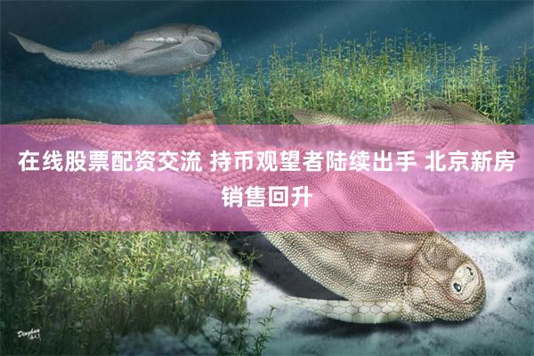 在线股票配资交流 持币观望者陆续出手 北京新房销售回升