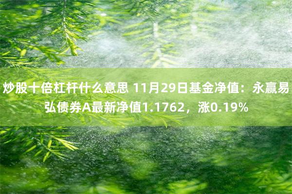 炒股十倍杠杆什么意思 11月29日基金净值：永赢易弘债券A最新净值1.1762，涨0.19%
