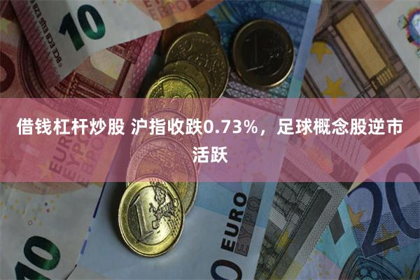 借钱杠杆炒股 沪指收跌0.73%，足球概念股逆市活跃