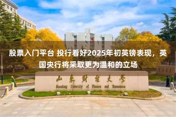 股票入门平台 投行看好2025年初英镑表现，英国央行将采取更为温和的立场