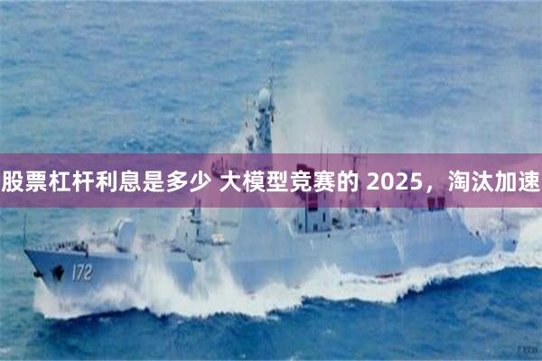 股票杠杆利息是多少 大模型竞赛的 2025，淘汰加速