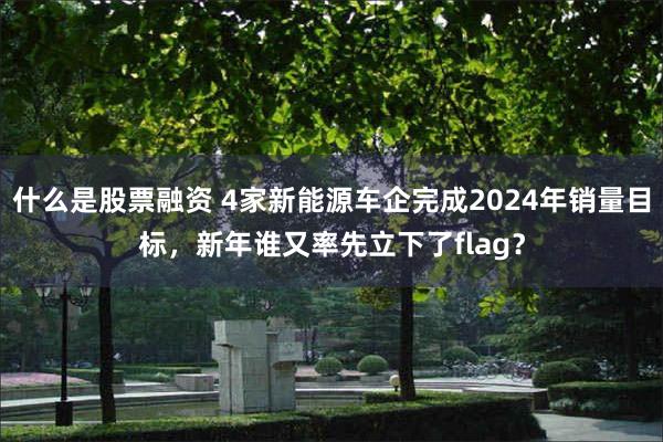 什么是股票融资 4家新能源车企完成2024年销量目标，新年谁又率先立下了flag？