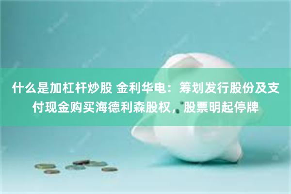 什么是加杠杆炒股 金利华电：筹划发行股份及支付现金购买海德利森股权，股票明起停牌