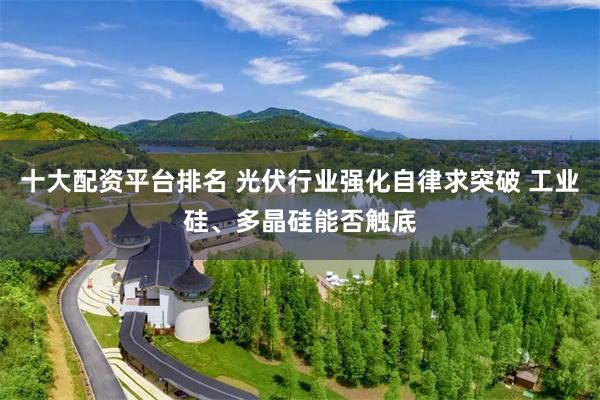 十大配资平台排名 光伏行业强化自律求突破 工业硅、多晶硅能否触底