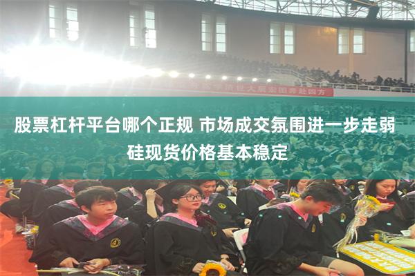 股票杠杆平台哪个正规 市场成交氛围进一步走弱 硅现货价格基本稳定