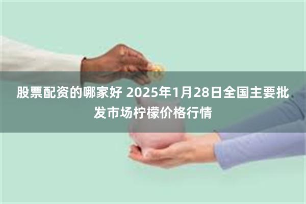 股票配资的哪家好 2025年1月28日全国主要批发市场柠檬价格行情