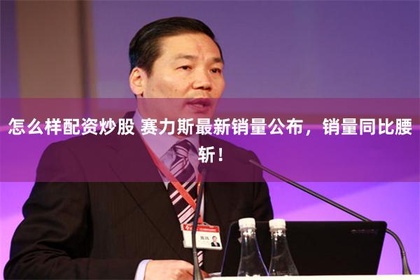 怎么样配资炒股 赛力斯最新销量公布，销量同比腰斩！