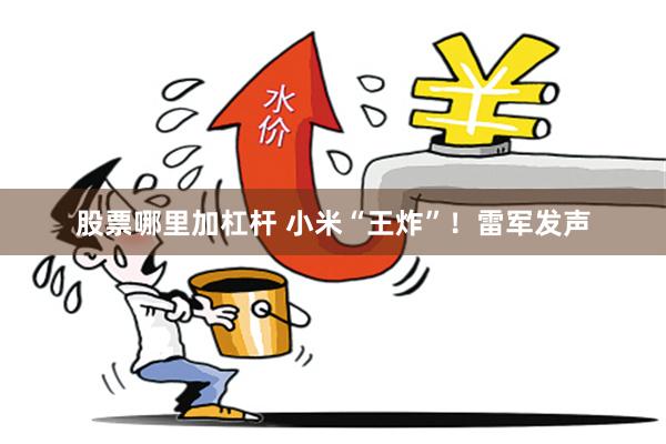 股票哪里加杠杆 小米“王炸”！雷军发声
