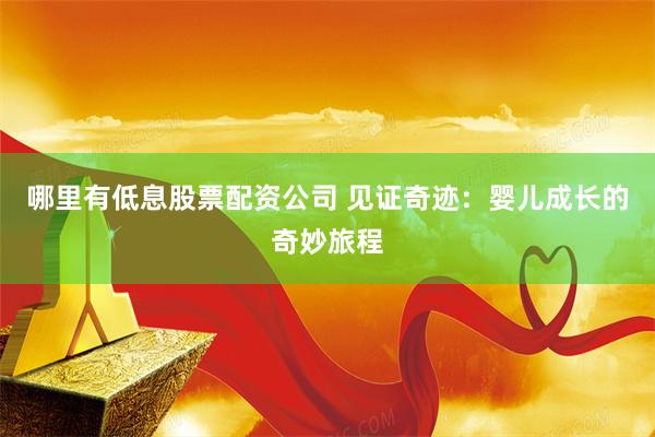 哪里有低息股票配资公司 见证奇迹：婴儿成长的奇妙旅程