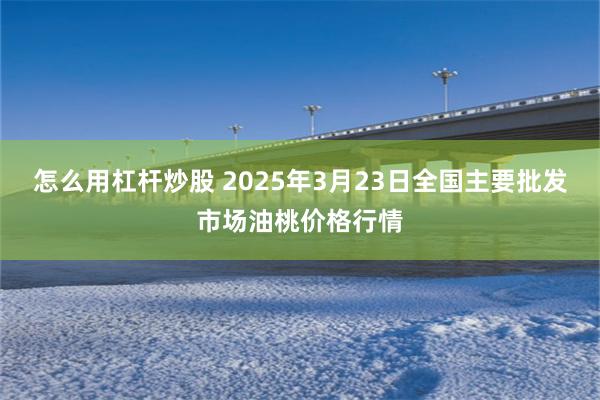 怎么用杠杆炒股 2025年3月23日全国主要批发市场油桃价格行情