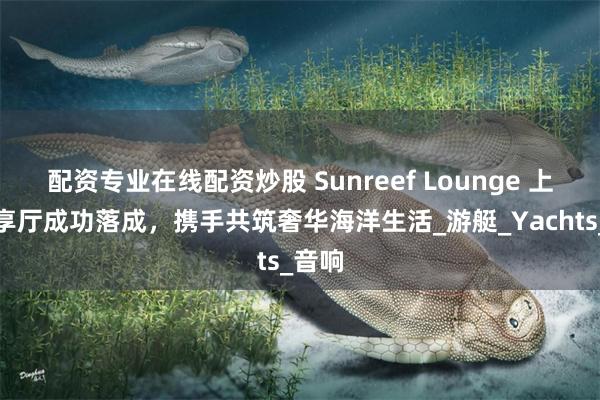 配资专业在线配资炒股 Sunreef Lounge 上海尊享厅成功落成，携手共筑奢华海洋生活_游艇_Yachts_音响