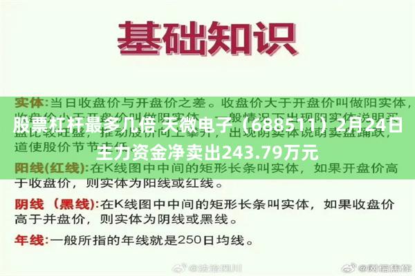 股票杠杆最多几倍 天微电子（688511）2月24日主力资金净卖出243.79万元