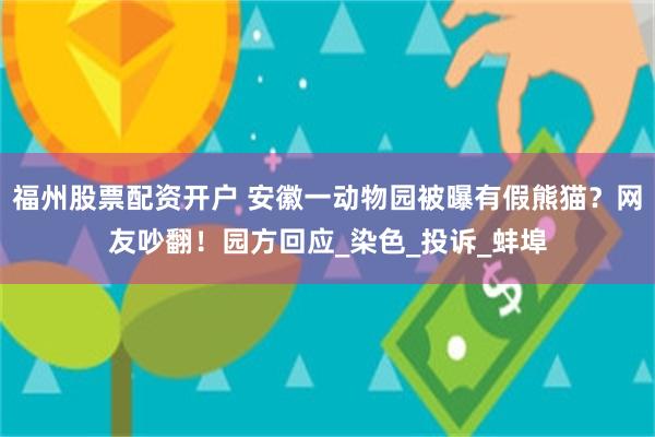 福州股票配资开户 安徽一动物园被曝有假熊猫？网友吵翻！园方回应_染色_投诉_蚌埠