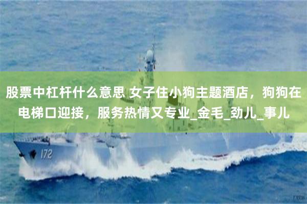 股票中杠杆什么意思 女子住小狗主题酒店，狗狗在电梯口迎接，服务热情又专业_金毛_劲儿_事儿