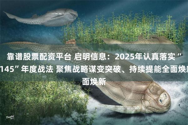 靠谱股票配资平台 启明信息：2025年认真落实“1145”年度战法 聚焦战略谋变突破、持续提能全面焕新