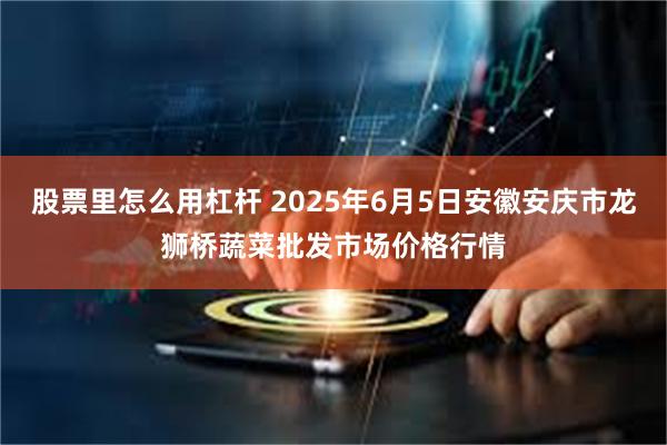 股票里怎么用杠杆 2025年6月5日安徽安庆市龙狮桥蔬菜批发市场价格行情