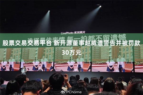 股票交易交易平台 新开源董事赵威遭警告并被罚款30万元