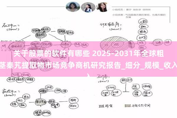 关于股票的软件有哪些 2025-2031年全球粗茎秦艽提取物市场竞争商机研究报告_细分_规模_收入