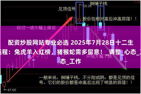 配资炒股网站专业必选 2025年7月28日十二生肖运程：兔虎羊入红榜，猪猴蛇需多留意！_调整_心态_工作