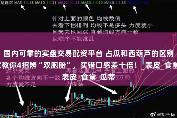 国内可靠的实盘交易配资平台 占瓜和西葫芦的区别？菜农教你4招辨“双胞胎”，买错口感差十倍！_表皮_食堂_瓜蒂