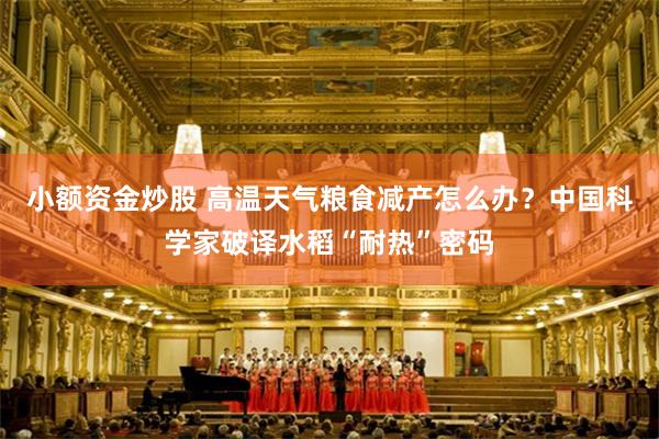 小额资金炒股 高温天气粮食减产怎么办？中国科学家破译水稻“耐热”密码