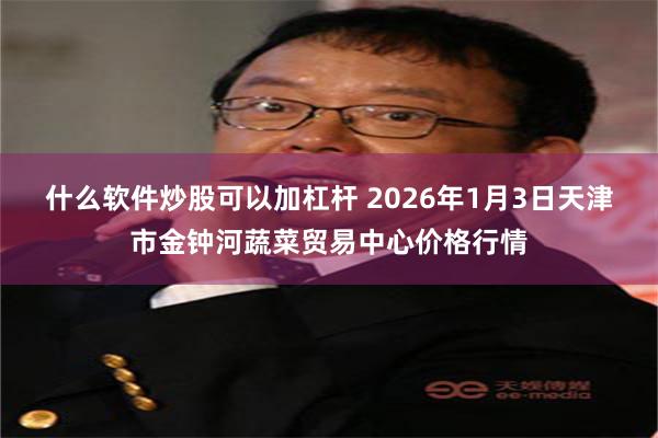 什么软件炒股可以加杠杆 2026年1月3日天津市金钟河蔬菜贸易中心价格行情