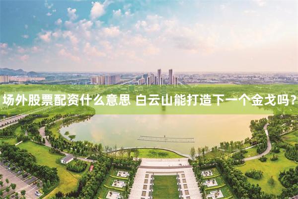 场外股票配资什么意思 白云山能打造下一个金戈吗？