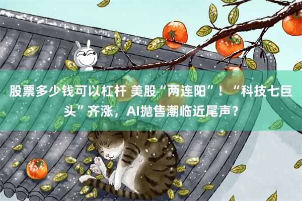 股票多少钱可以杠杆 美股“两连阳”！“科技七巨头”齐涨，AI抛售潮临近尾声？