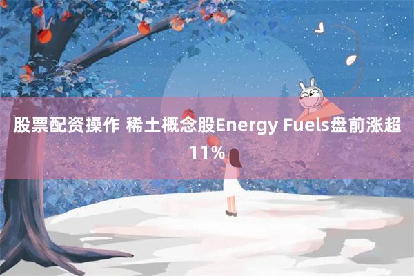 股票配资操作 稀土概念股Energy Fuels盘前涨超11%